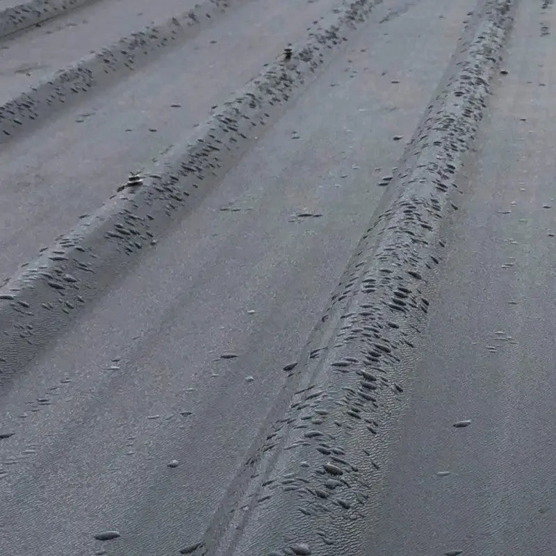 Abri de jardin en bois composite 28mm gris clair 12m² PREMIUM toit plat - Woodlife Garden Ma boutique