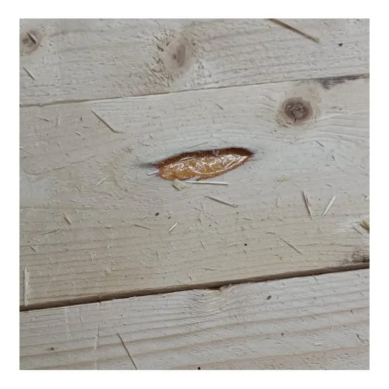 Abri de jardin toit plat 16m² PENTY BIS - madriers 40mm épaisseurs x 140mm hauteur traités - Gardy Shelter Ma boutique