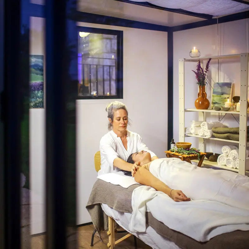 Studio de jardin en aluminium et bois composite 10,1m² - isolation triple paroi Copenhagen – Canopia by Palram Ma boutique